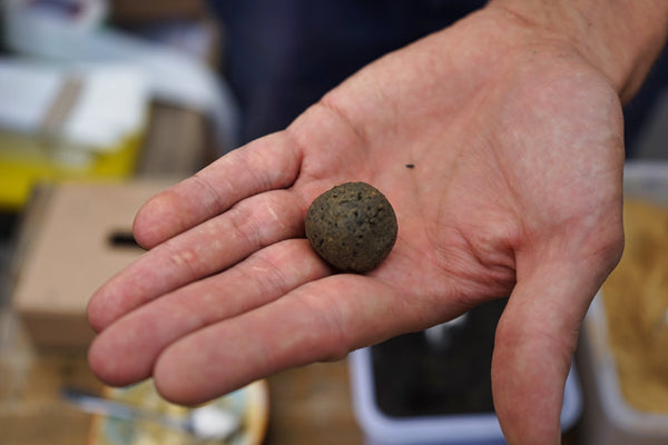 Seedbombs selber machen: Der Leitfaden für DIY-Enthusiasten