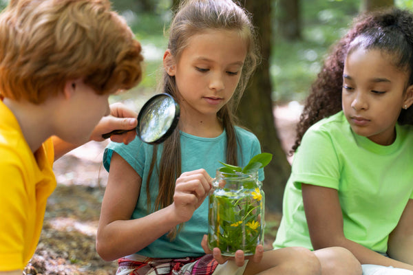 Spiel, Spaß und Natur: Samenbomben als Highlight für jeden Kindergeburtstag